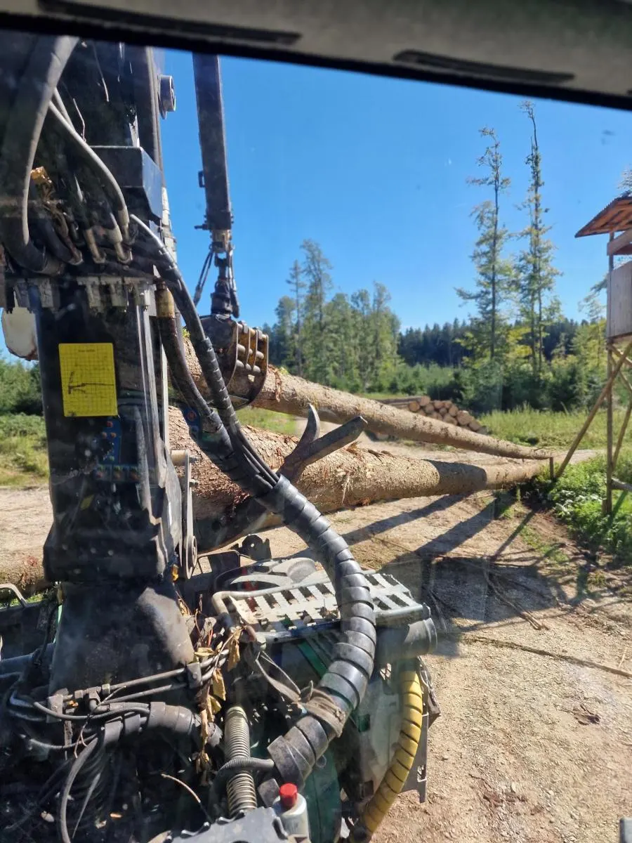 Kran mit Holz aus der Fahrerperspektive