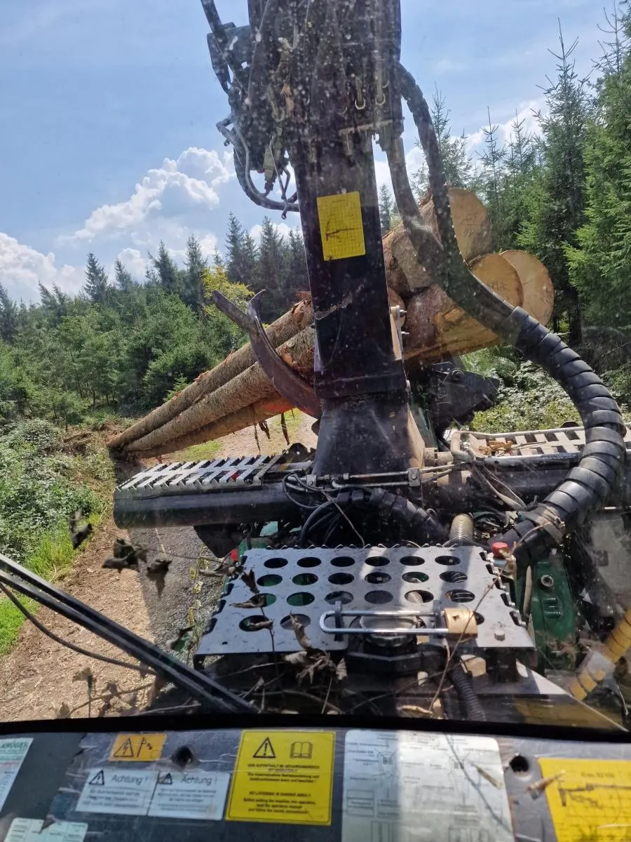 Ladekran beim Holzverladen