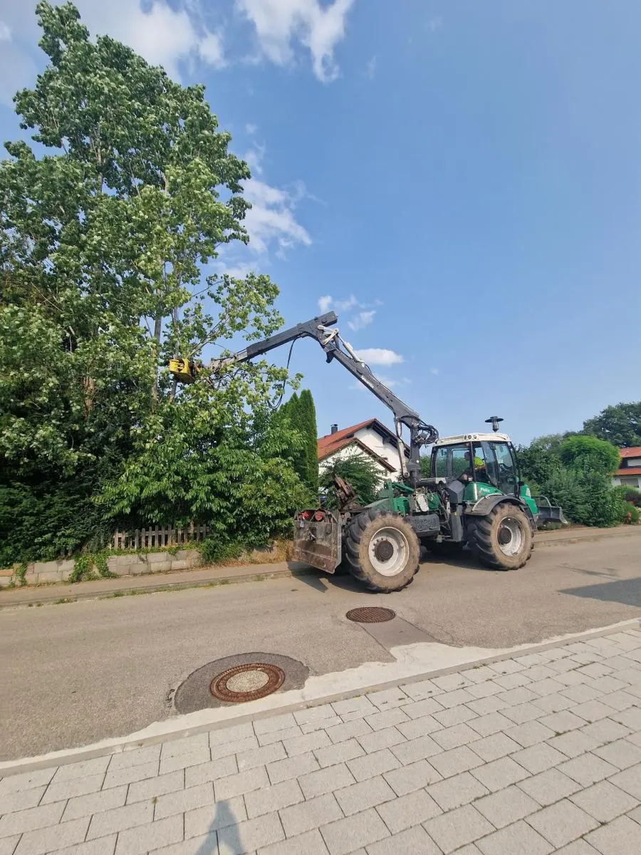 Kranarbeiten an Bäumen im Wohngebiet