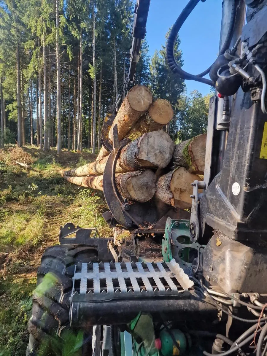 Holzgreifer mit Stämmen im Wald
