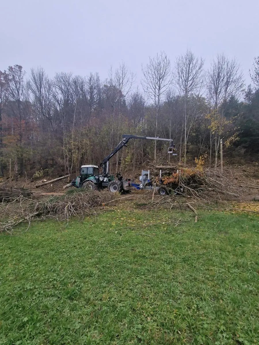 Arbeiten an einem Waldrand